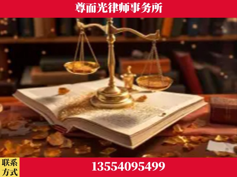 点军-刑事诉讼律师